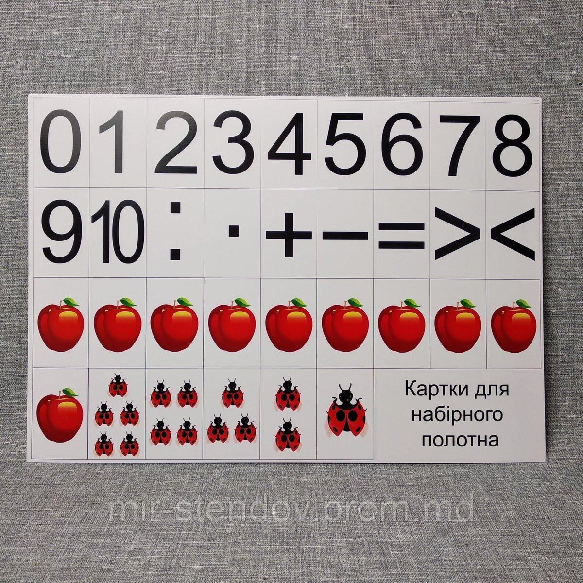 Карточки картонные для наборного полотна. Счётный материал для математики, фото 1
