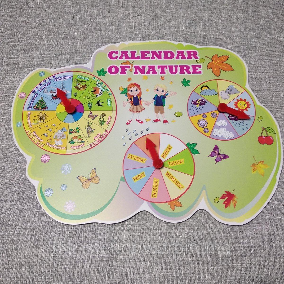 Календарь природы для кабинета английского языка. Calendar of Nature, фото 1