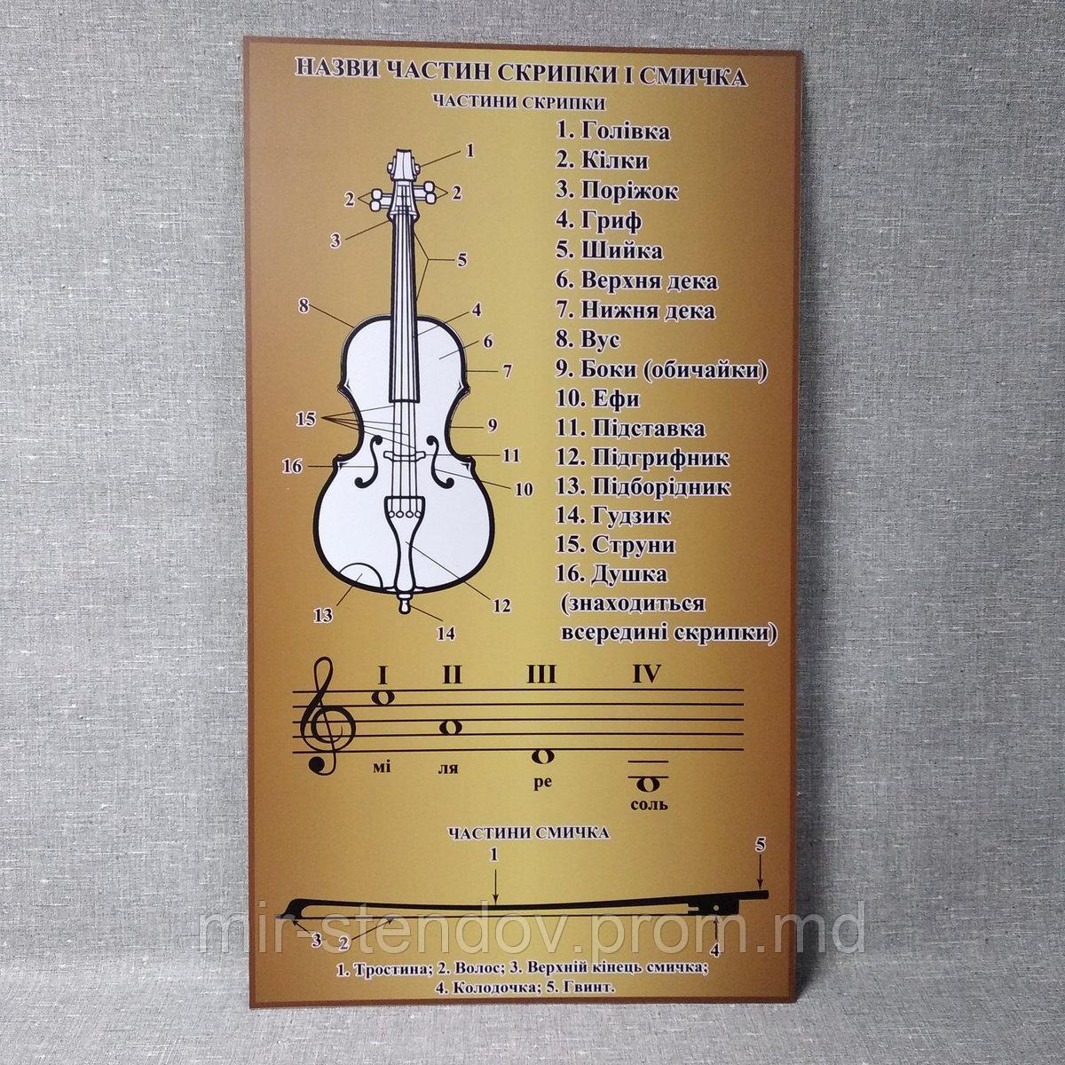 Стенд для кабинета музыки Название частей скрипки и смычка, фото 1