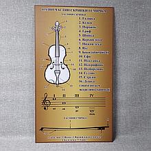 Стенд для кабинета музыки Название частей скрипки и смычка