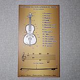 Стенд для кабинета музыки Название частей скрипки и смычка, фото 2