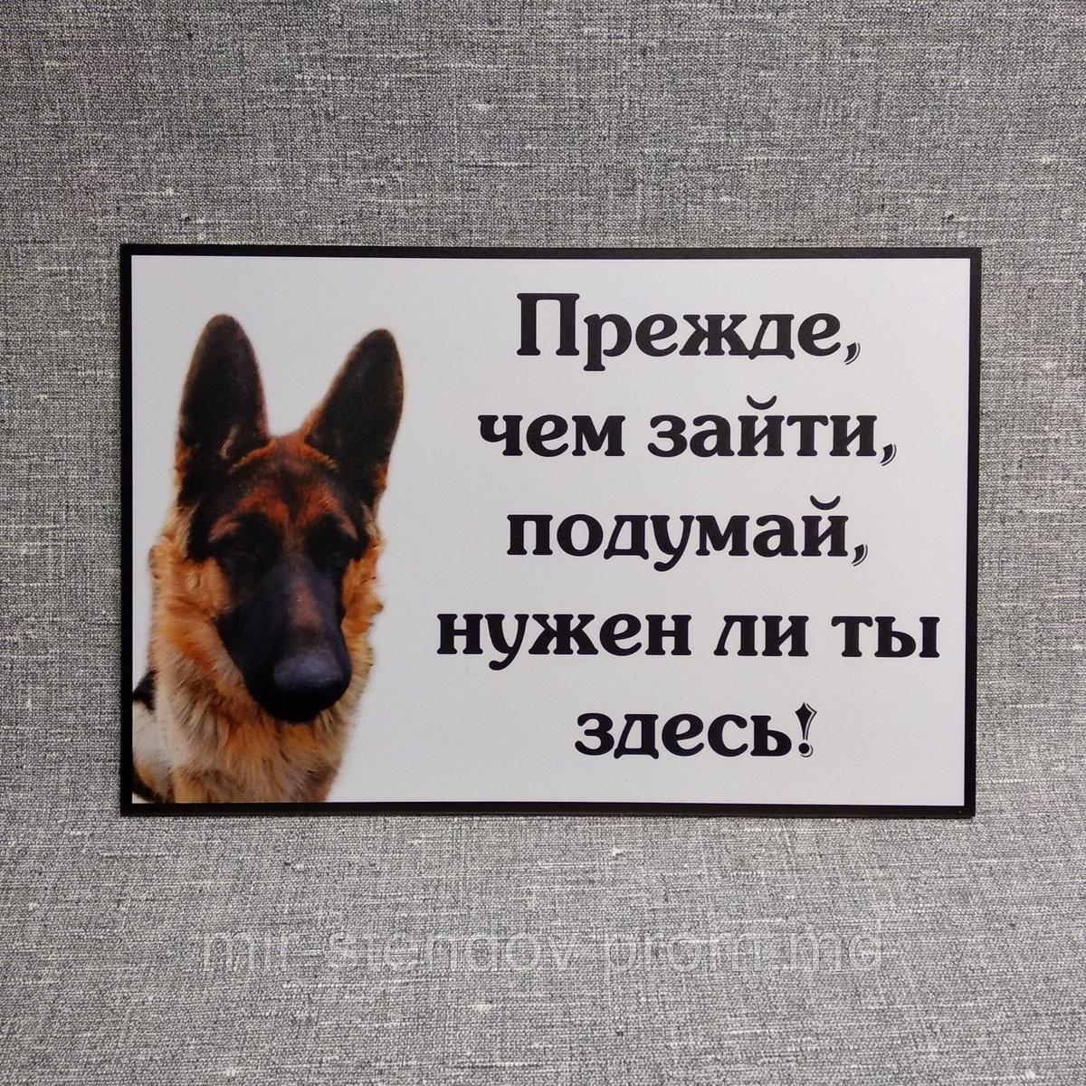 Табличка Осторожно, злая собака. Прежде, чем зайти, подумай, нужен ли ты здесь!, фото 1
