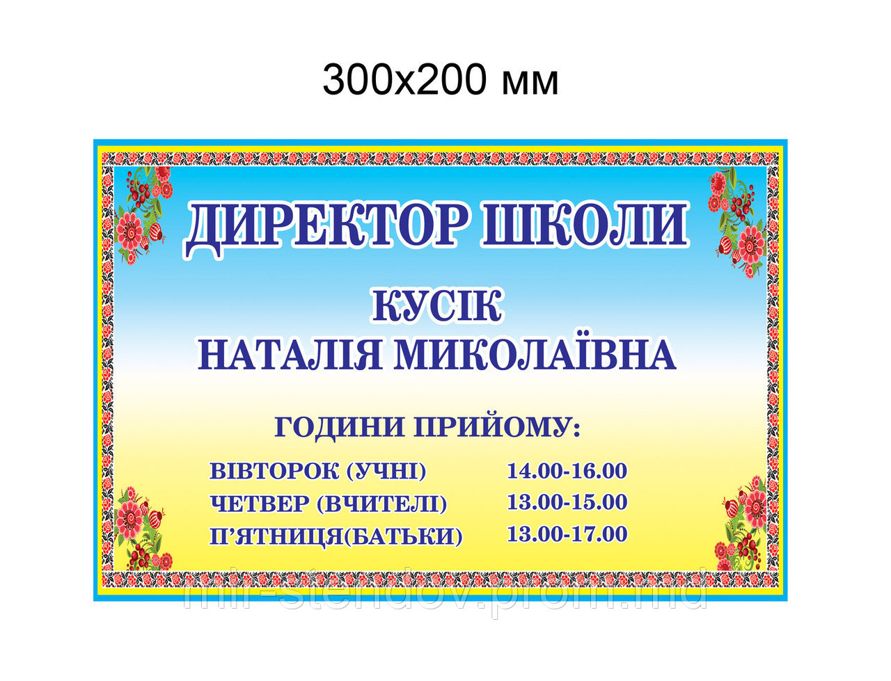 Табличка кабинетная Директор, фото 1