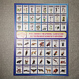 Плакат Красная книга Украины, фото 2