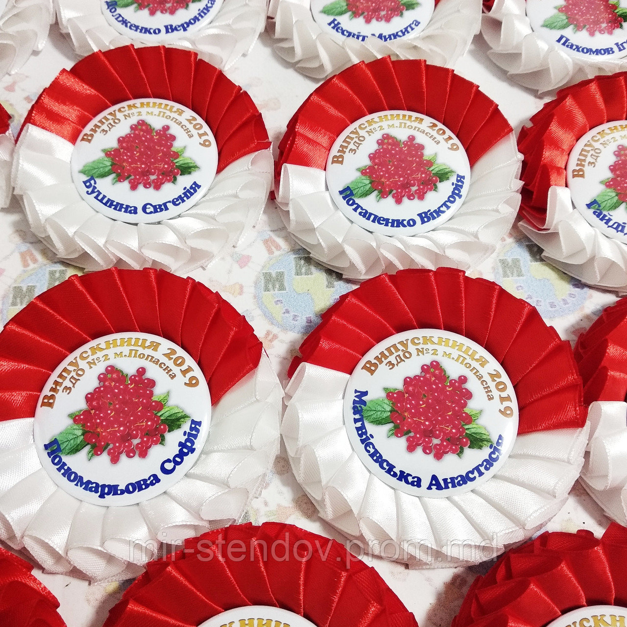 Значок на выпускной или 1 сентября с розеткой Красно-белой, фото 1