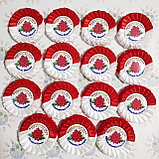 Значок на выпускной или 1 сентября с розеткой Красно-белой, фото 2