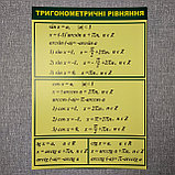 Набор картонных плакатов по Математике, фото 6