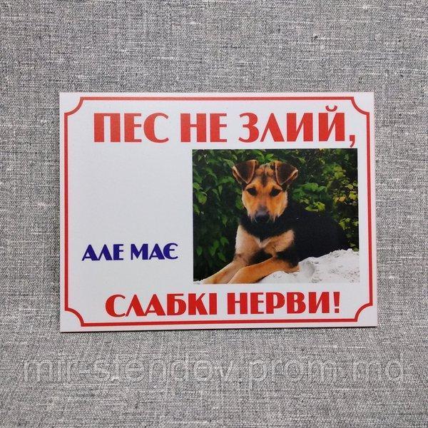 Табличка Осторожно, злая собака. "Пес не злий, але має слабкі нерви!", фото 1