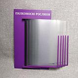 Стенд-книжка. Пилконосні рослини, фото 2