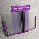 Стенд-книжка. Пилконосні рослини, фото 4