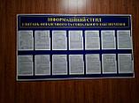Информационный стенд по вопросам финансового и социального обеспечения, фото 3