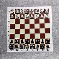 Шахматы на магнитном коврике