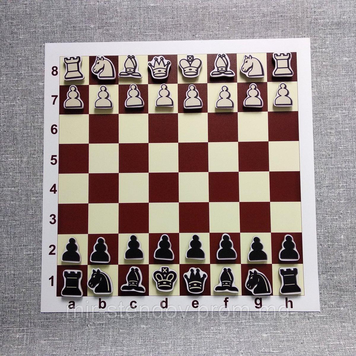 Шахматы на магнитном коврике - фото 1 - id-p10142475