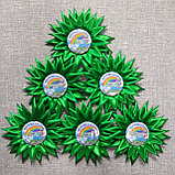 Значок Первоклассник. Хризантема Авокадо зелёная, фото 2