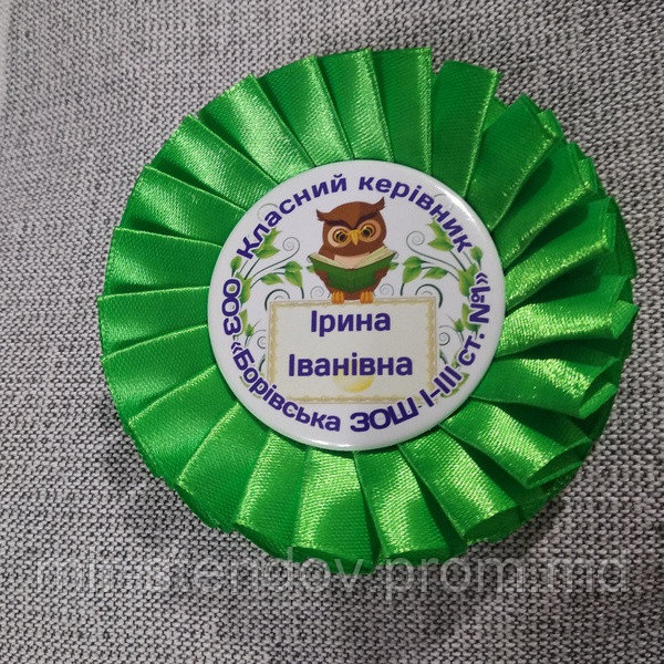 Значком для ученика школы с розеткой и фамилиями учеников, фото 1