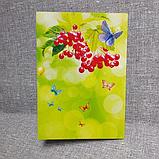 Диплом и значок для выпускника детского сада Калинка, фото 6