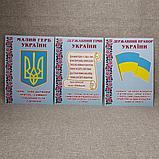 Стенд символика Украины. Картон, фото 2