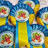 Значок Выпускник школы с розеткой, фото 6