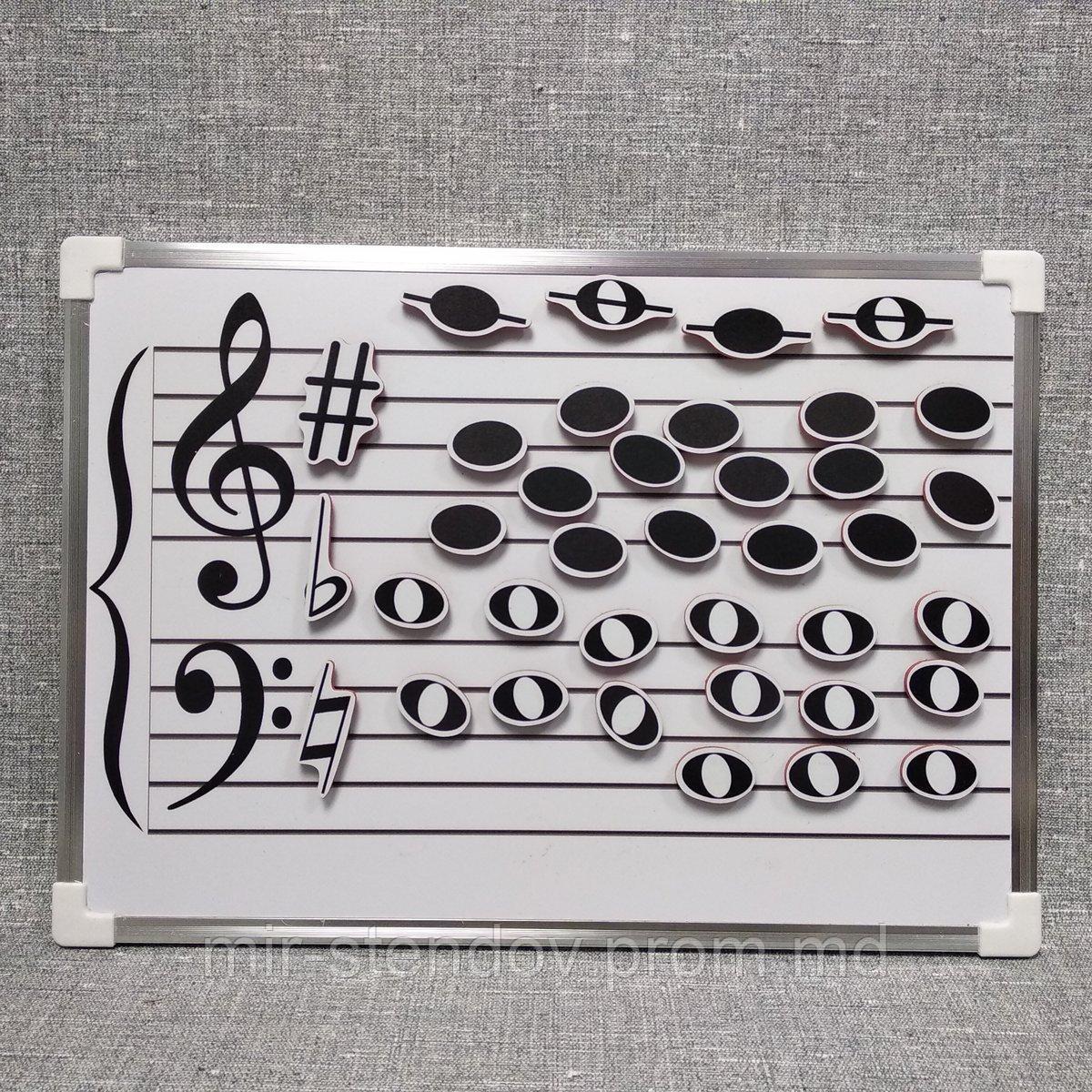 Магнитный нотный стан и ноты магниты. Пособие 34х26 см, фото 1