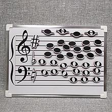 Магнитный нотный стан и ноты магниты. Пособие 34х26 см