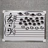 Магнитный нотный стан и ноты магниты. Пособие 34х26 см, фото 4