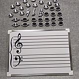 Магнитный нотный стан и ноты магниты. Пособие 34х26 см, фото 5