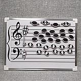 Магнитный нотный стан и ноты магниты. Пособие 34х26 см, фото 7