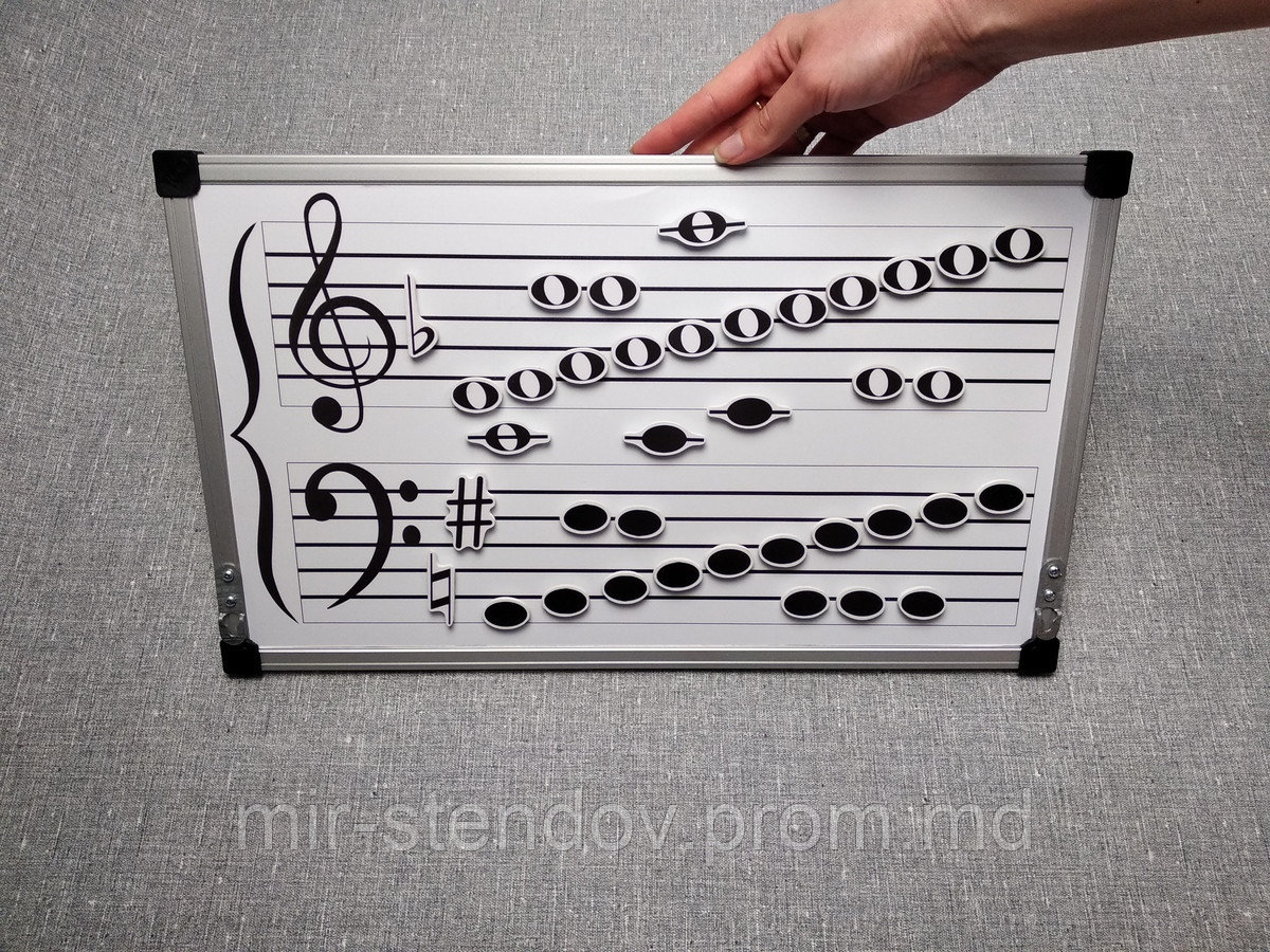 Доска для учителей музыки 50х35 см, фото 1