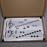 Доска для учителей музыки 50х35 см, фото 2