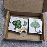 Деревья и плоды. Набор магнитов, фото 3