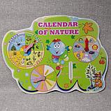 Календарь природы для кабинета английского языка Капитошка, фото 3
