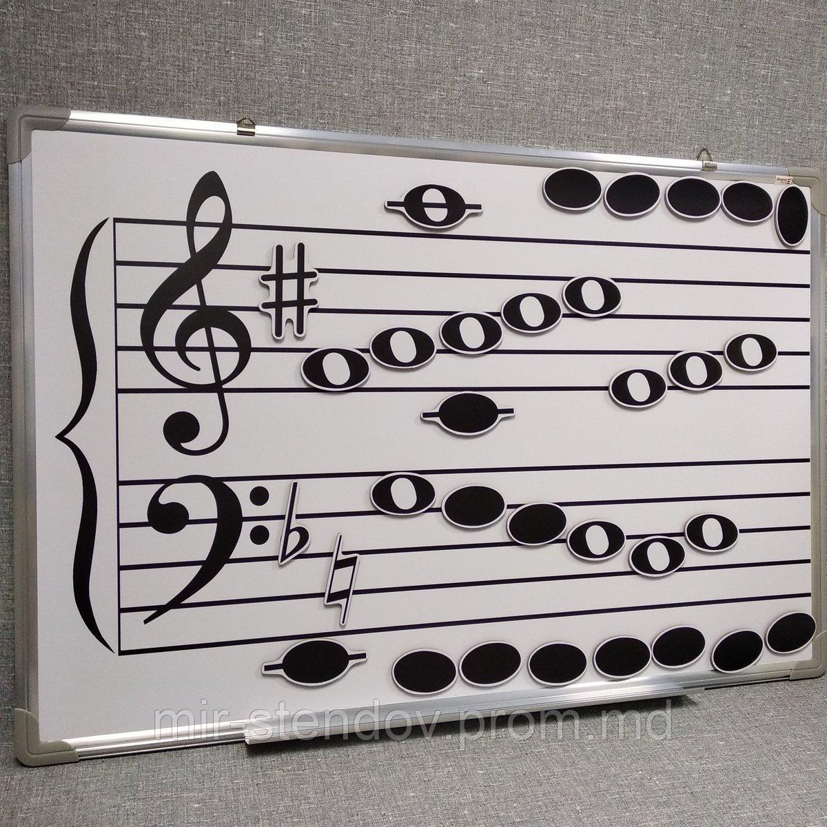 Доска для учителей музыки, фото 1