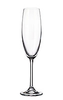 Набор бокалов для шампанского Bohemia Colibri (Gastro) 220 мл 6 пр b4S032