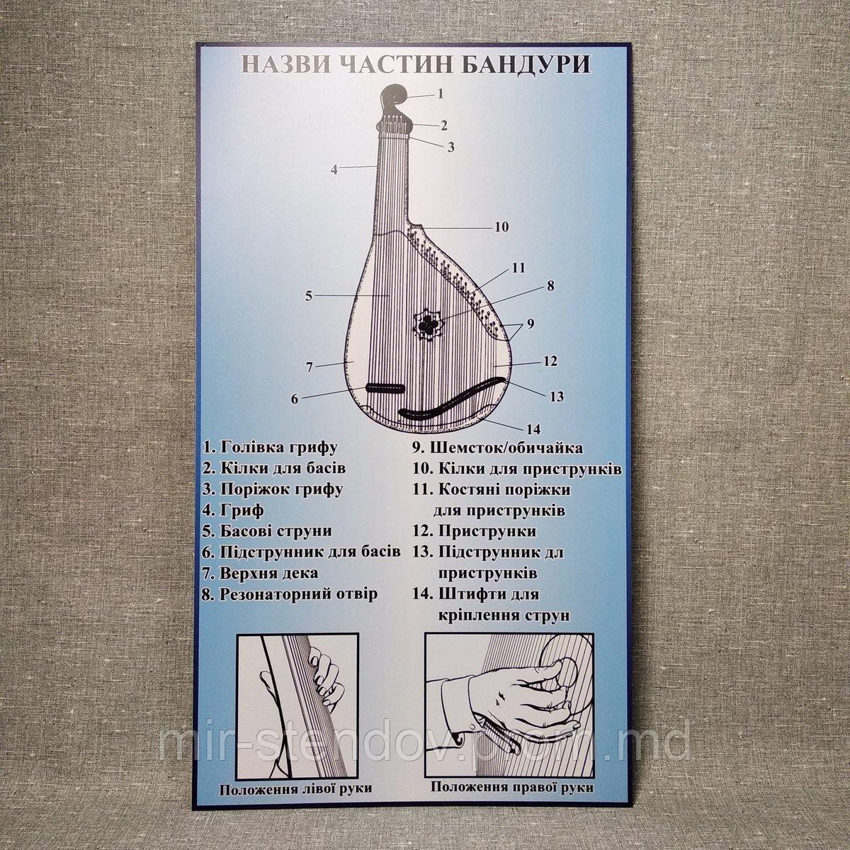 Стенд для кабинета музыки Название частей бандуры, фото 1