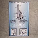 Стенд для кабинета музыки Название частей бандуры, фото 2