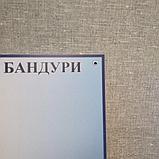 Стенд для кабинета музыки Название частей бандуры, фото 4