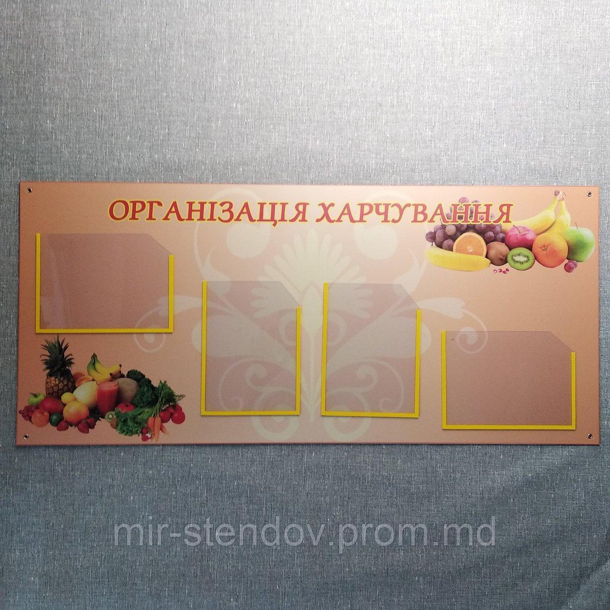 Уголок питания. "Организация питания", фото 1