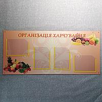 Уголок питания. "Организация питания"