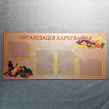 Уголок питания. "Организация питания"