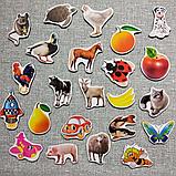 Магнитики развивающие. Набор для малышей, фото 2