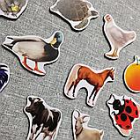 Магнитики развивающие. Набор для малышей, фото 3