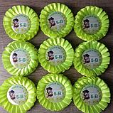 Значком с розеткой. Лицей, 5-В. Лимонный, фото 2