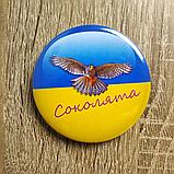 Значок Соколята, фото 5