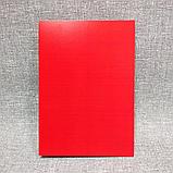 Красный Диплом для выпускника детского сада, фото 6