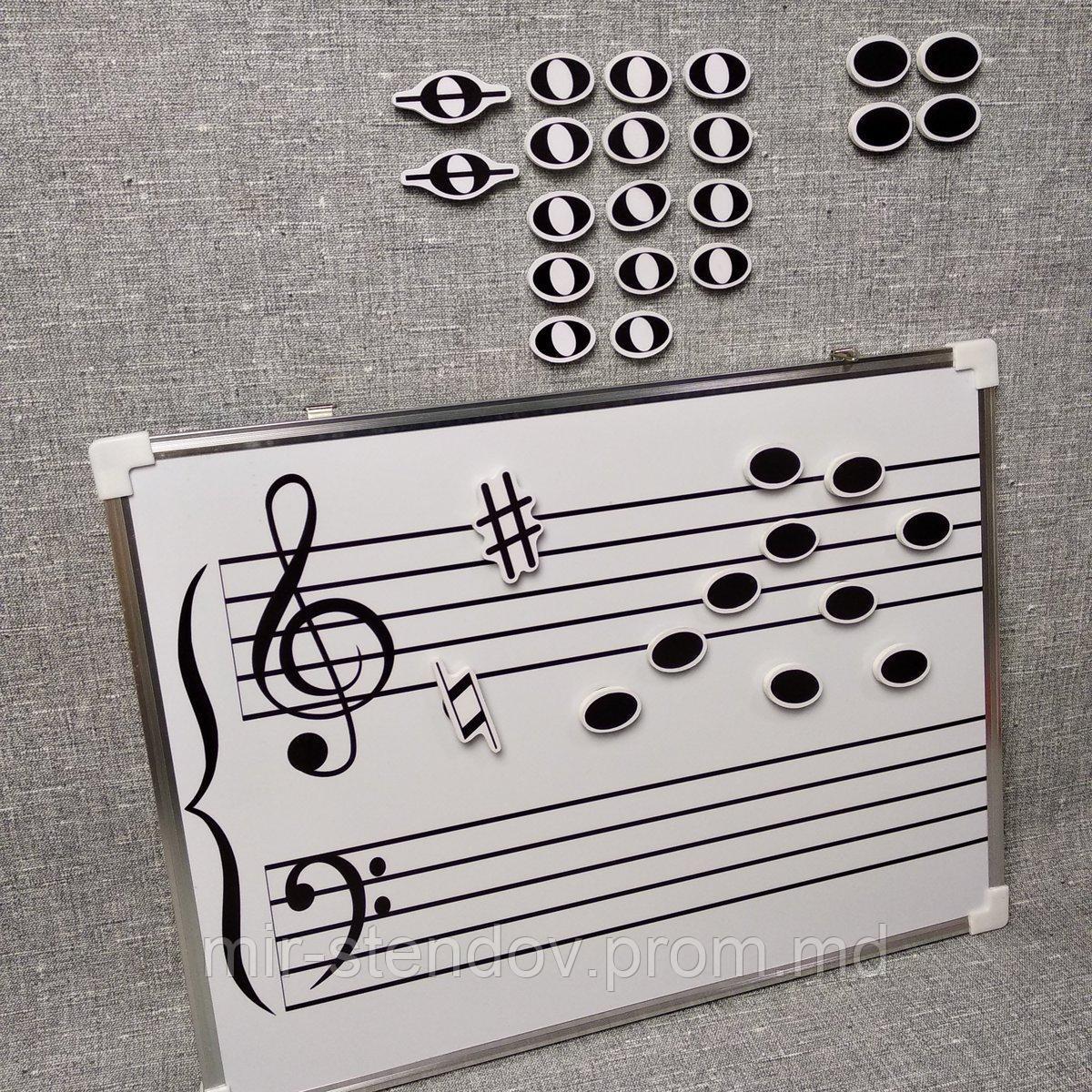 Магнитно-маркерное пособие Нотный стан. 30х40 см, фото 1