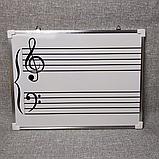 Магнитно-маркерное пособие Нотный стан. 30х40 см, фото 3