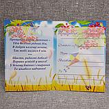 Диплом и медаль именная для выпускника детского сада "Колосок"  группа "Калинка", фото 3