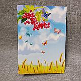 Диплом и медаль именная для выпускника детского сада "Колосок"  группа "Калинка", фото 4