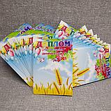 Диплом и медаль именная для выпускника детского сада "Колосок"  группа "Калинка", фото 5