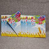 Диплом и медаль именная для выпускника детского сада "Колосок"  группа "Калинка", фото 7